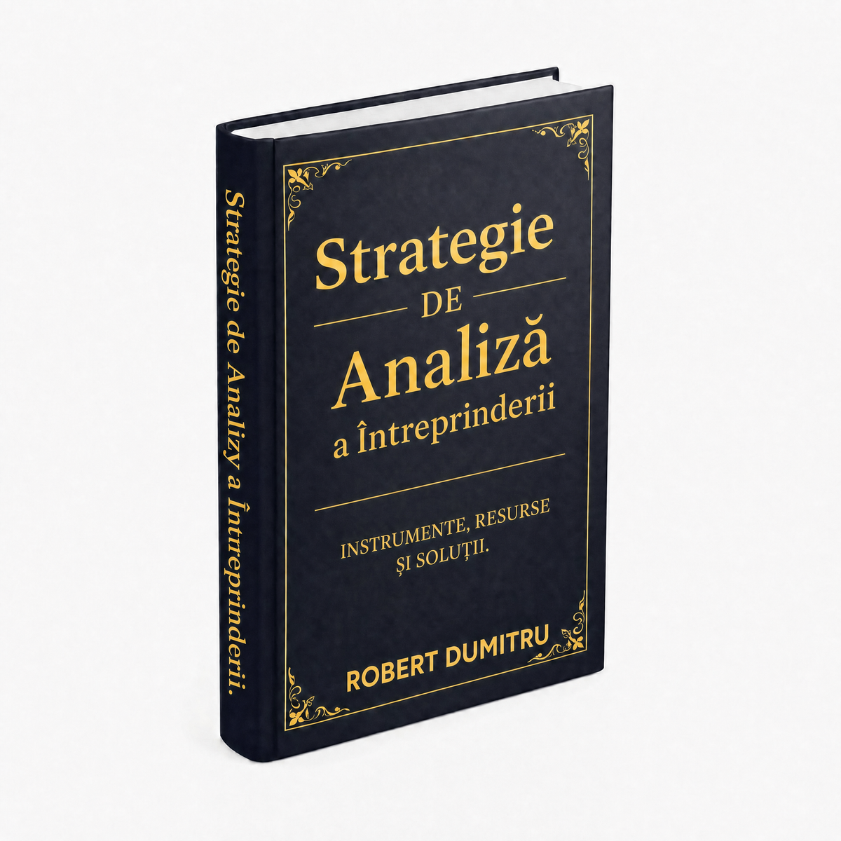 Strategie de Analiză a Întreprinderii